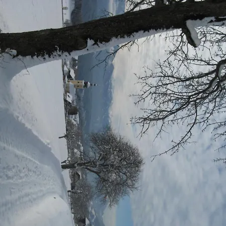 Ortnerhof * Мильстат