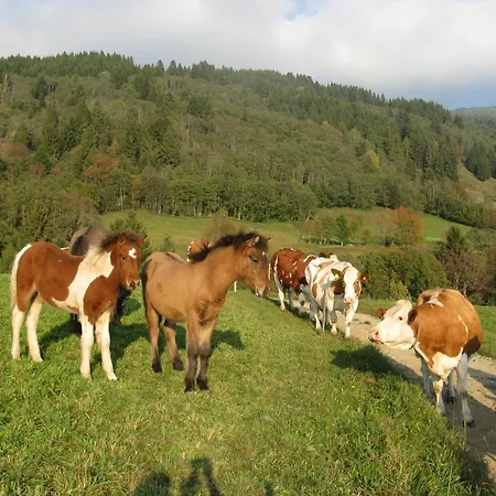 Апартаменты Ortnerhof Мильстат