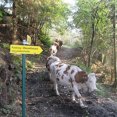 Апартаменты Ortnerhof *