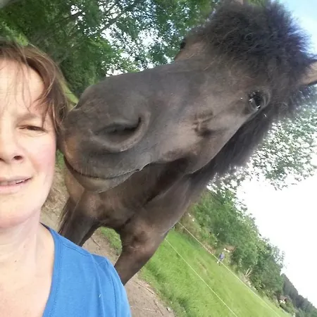 Ortnerhof Appartement