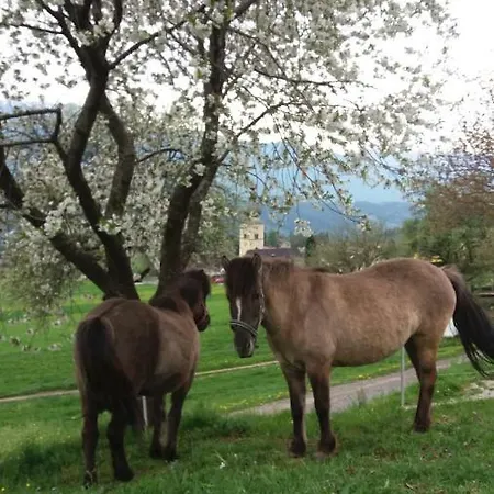 Ortnerhof Appartement