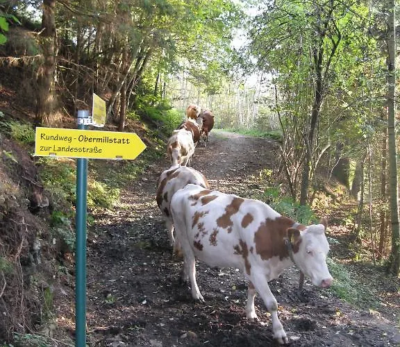 Apartmán Ortnerhof *